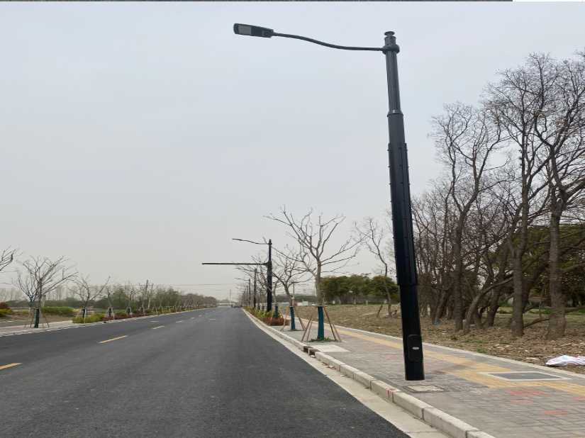 常山县上海综合杆 太阳能路灯工程